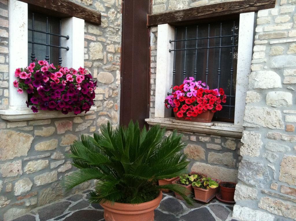 Agriturismo La Cantina Асколи-Пичено Экстерьер фото